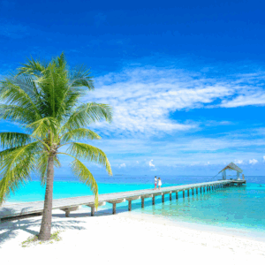 Viaggio di gruppo Miami + MSC World America [29/01 - 08/02]
